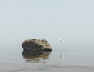 large gray rock near flying bird over body of water thumbnail