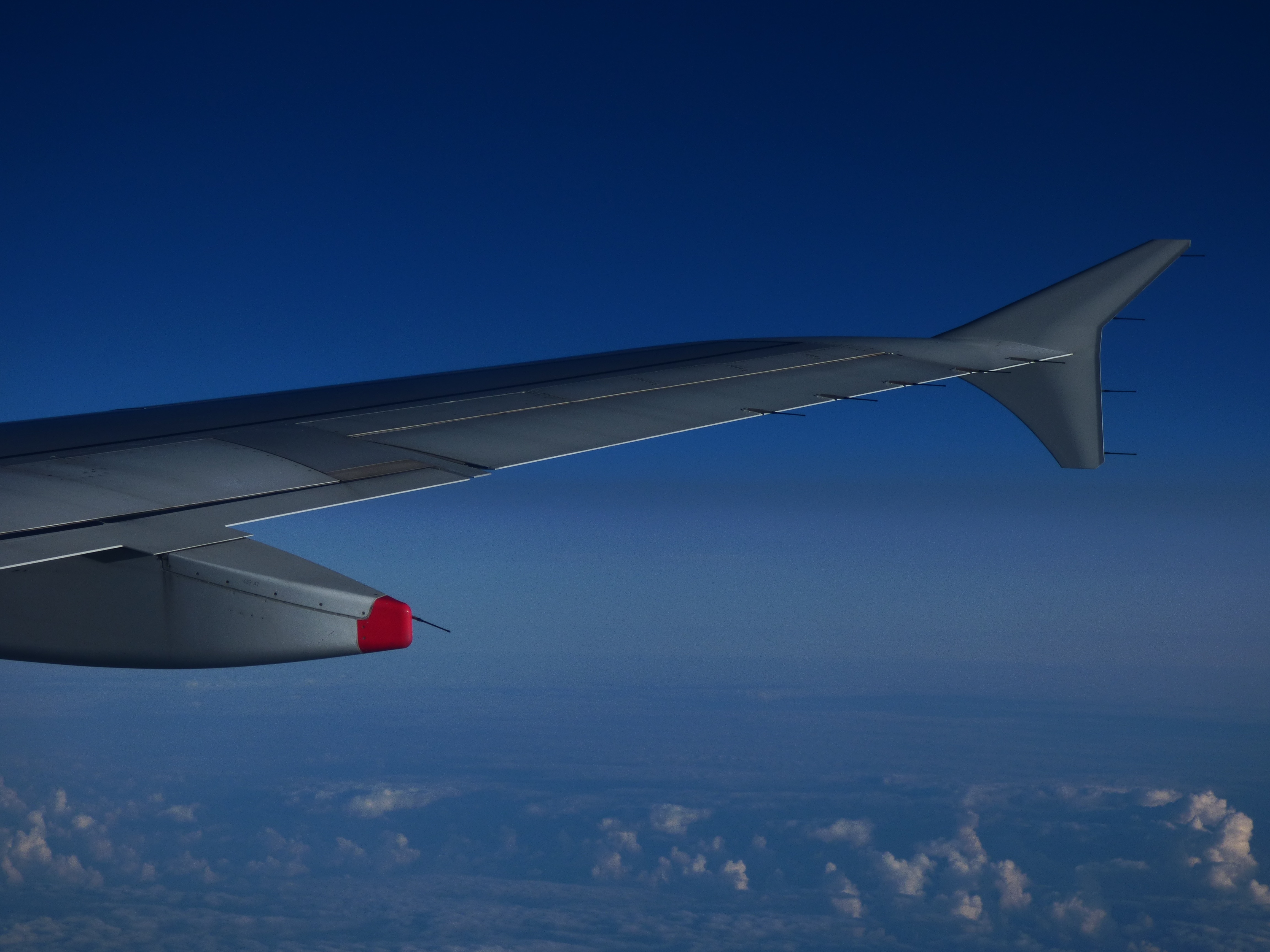 grey passenger airline wing