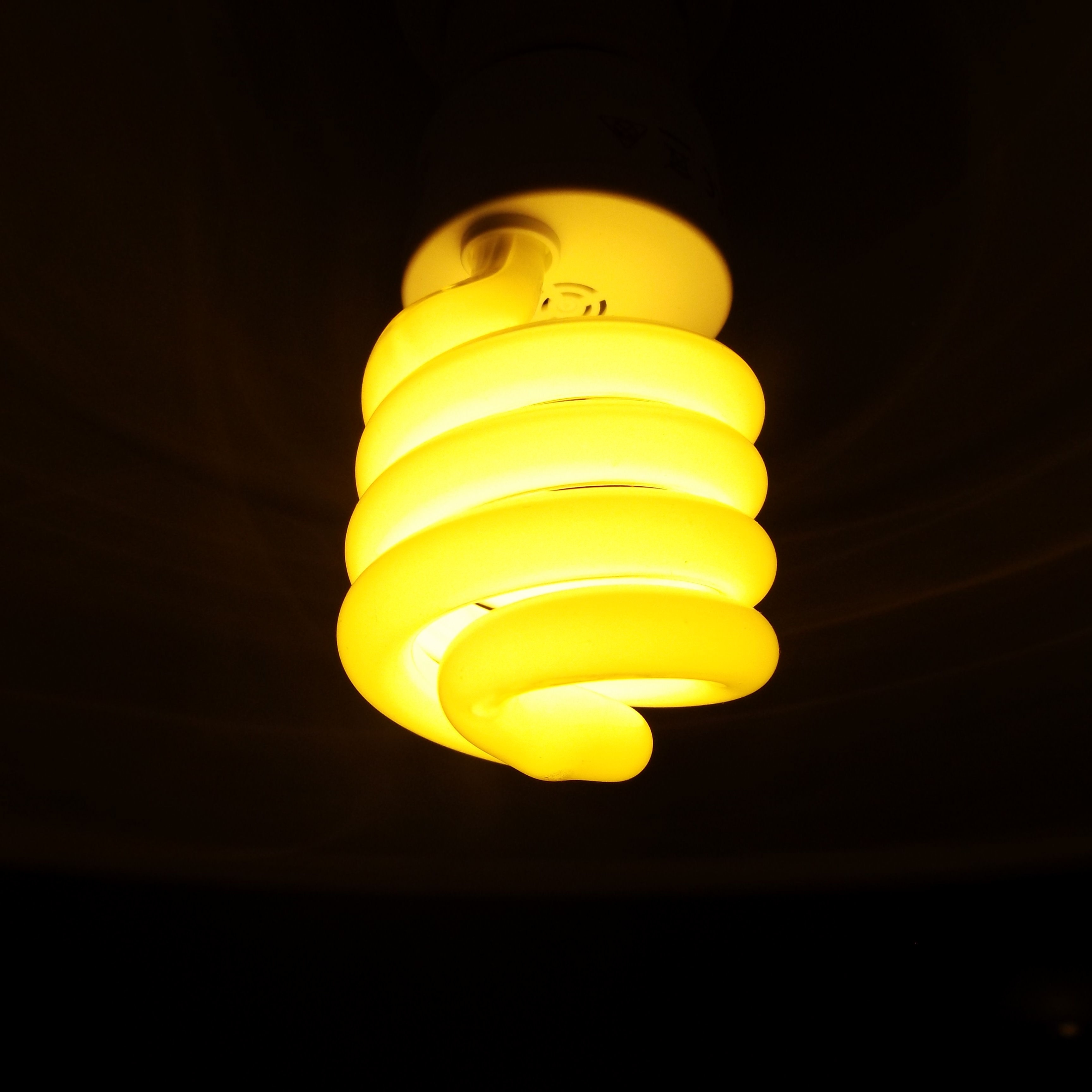 white light bulb