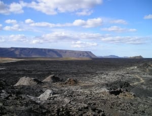 sand field thumbnail