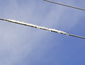 snow and electric transmission wire thumbnail
