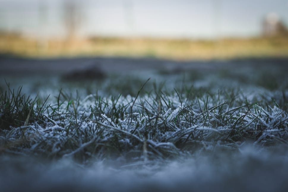 snow covered grass field outdoors   during daytime preview