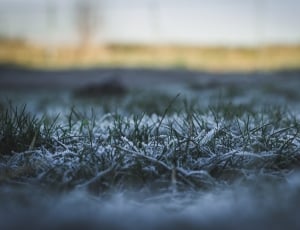 snow covered grass field outdoors   during daytime thumbnail
