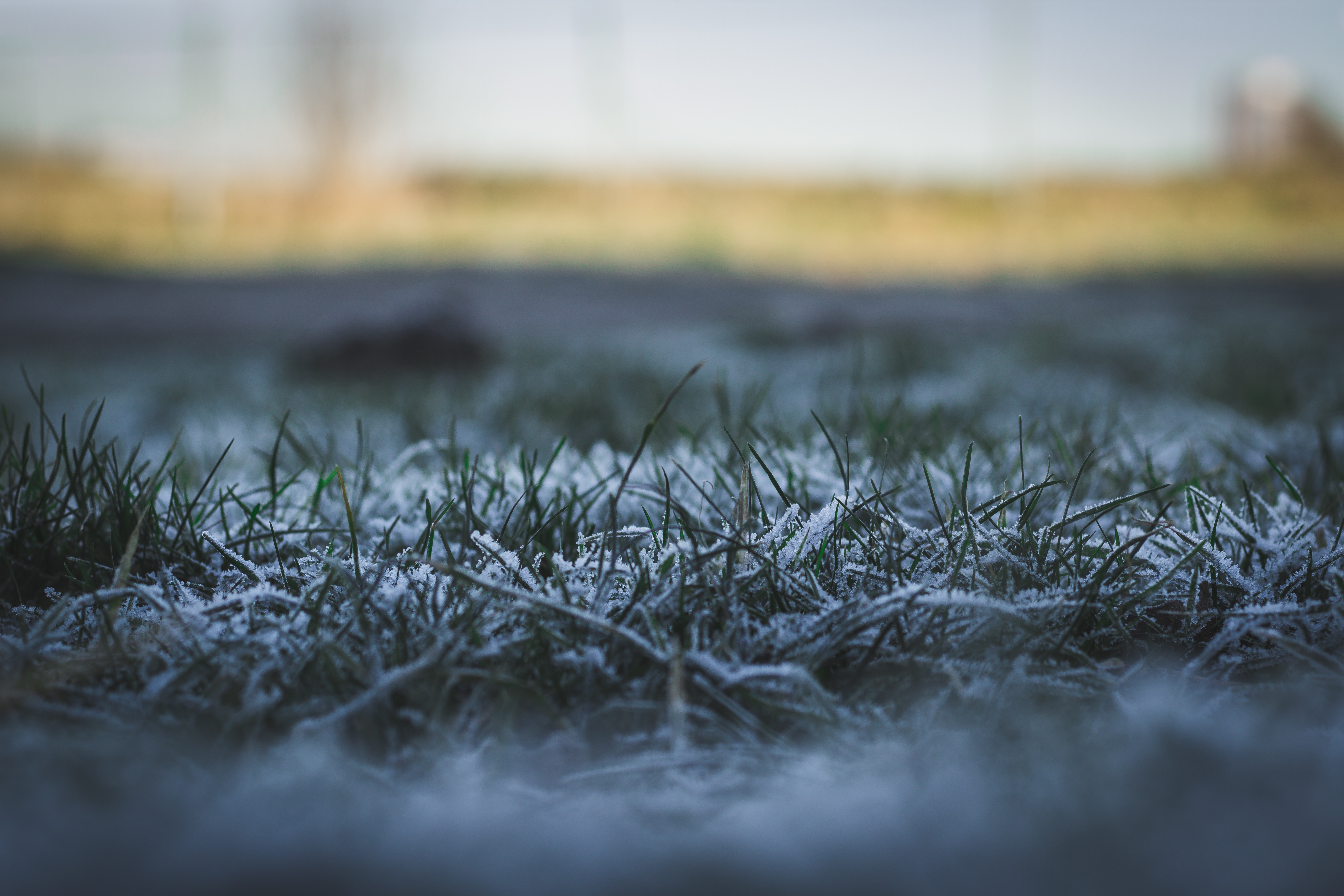 snow covered grass field outdoors   during daytime