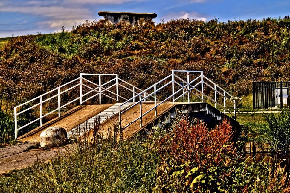 brown and white wooden bridge preview