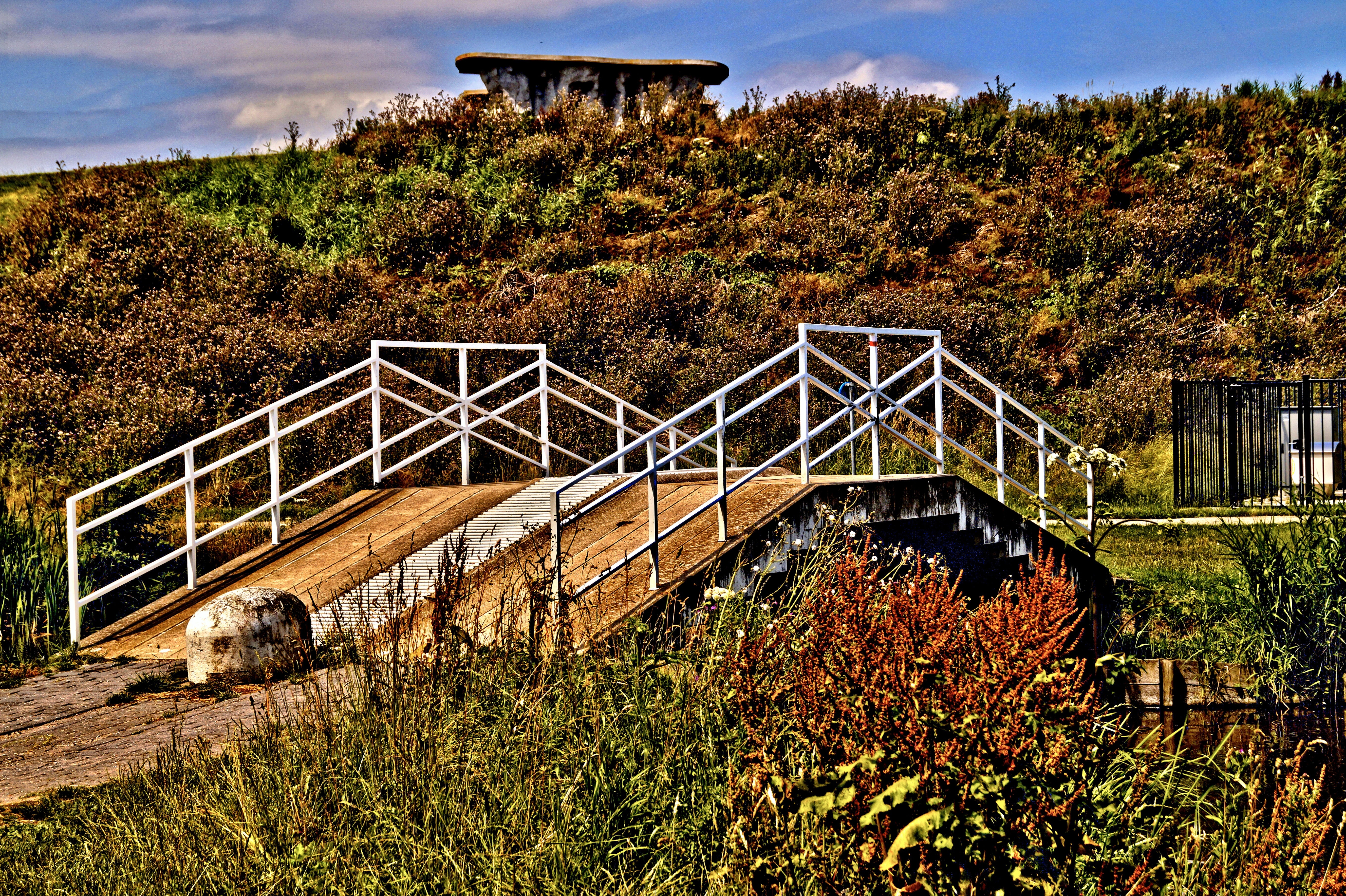 brown and white wooden bridge