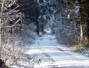snow pathway thumbnail