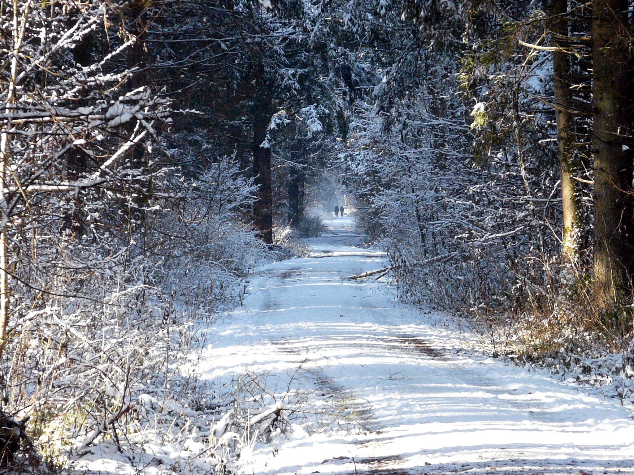 snow pathway