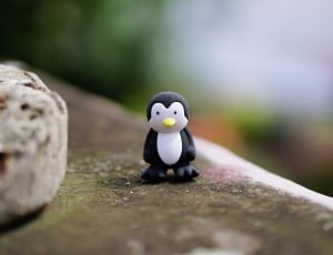 white and black penguin toy thumbnail
