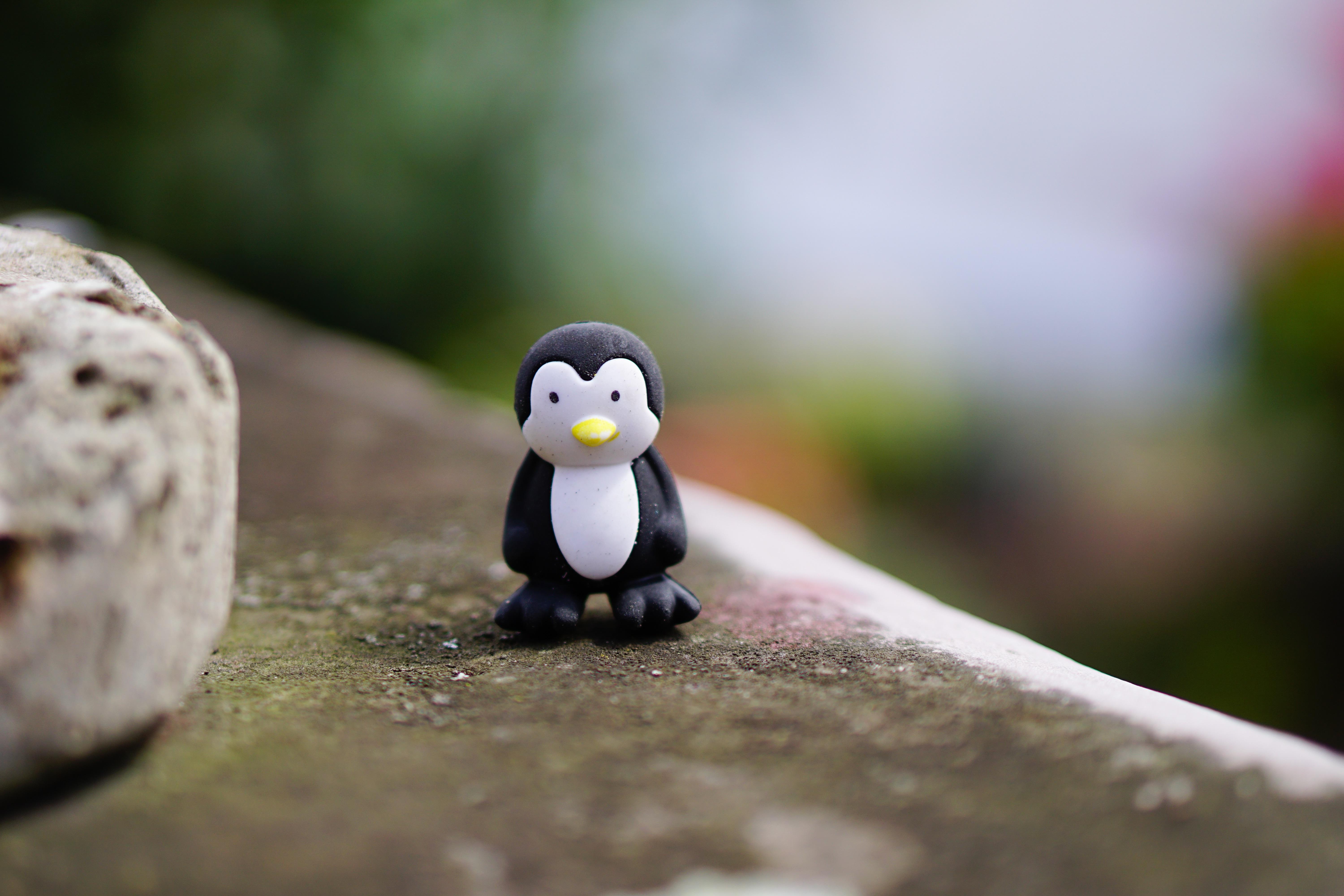 white and black penguin toy