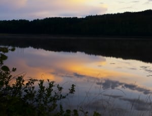 lake surrounded of tree thumbnail