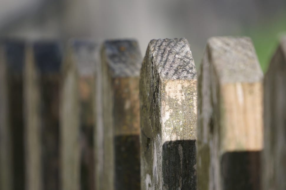 tilt shift photo of wooden fence preview