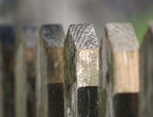 tilt shift photo of wooden fence thumbnail