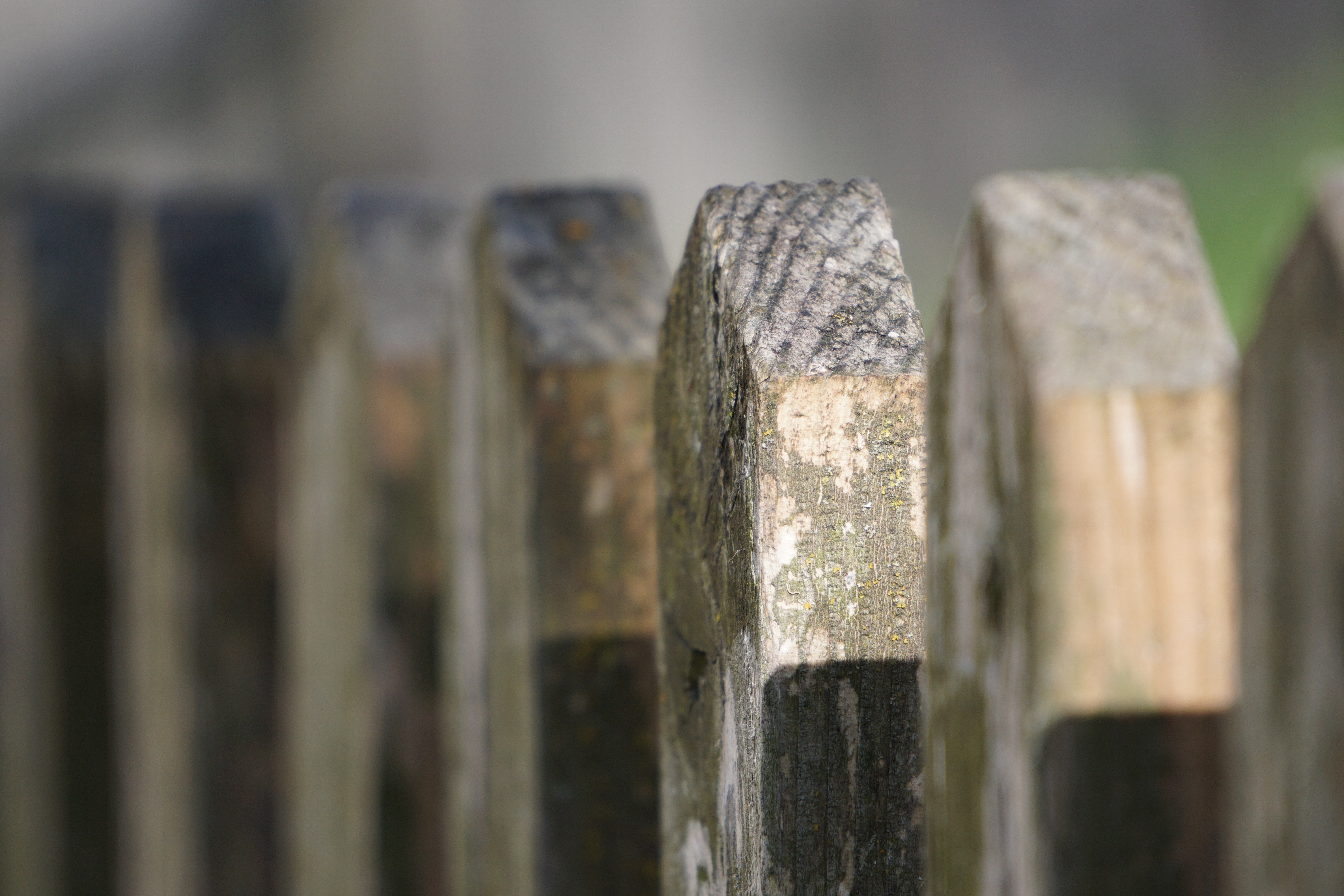 tilt shift photo of wooden fence