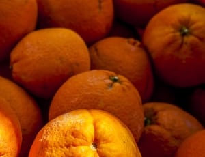 closeup photography of orange fruits thumbnail