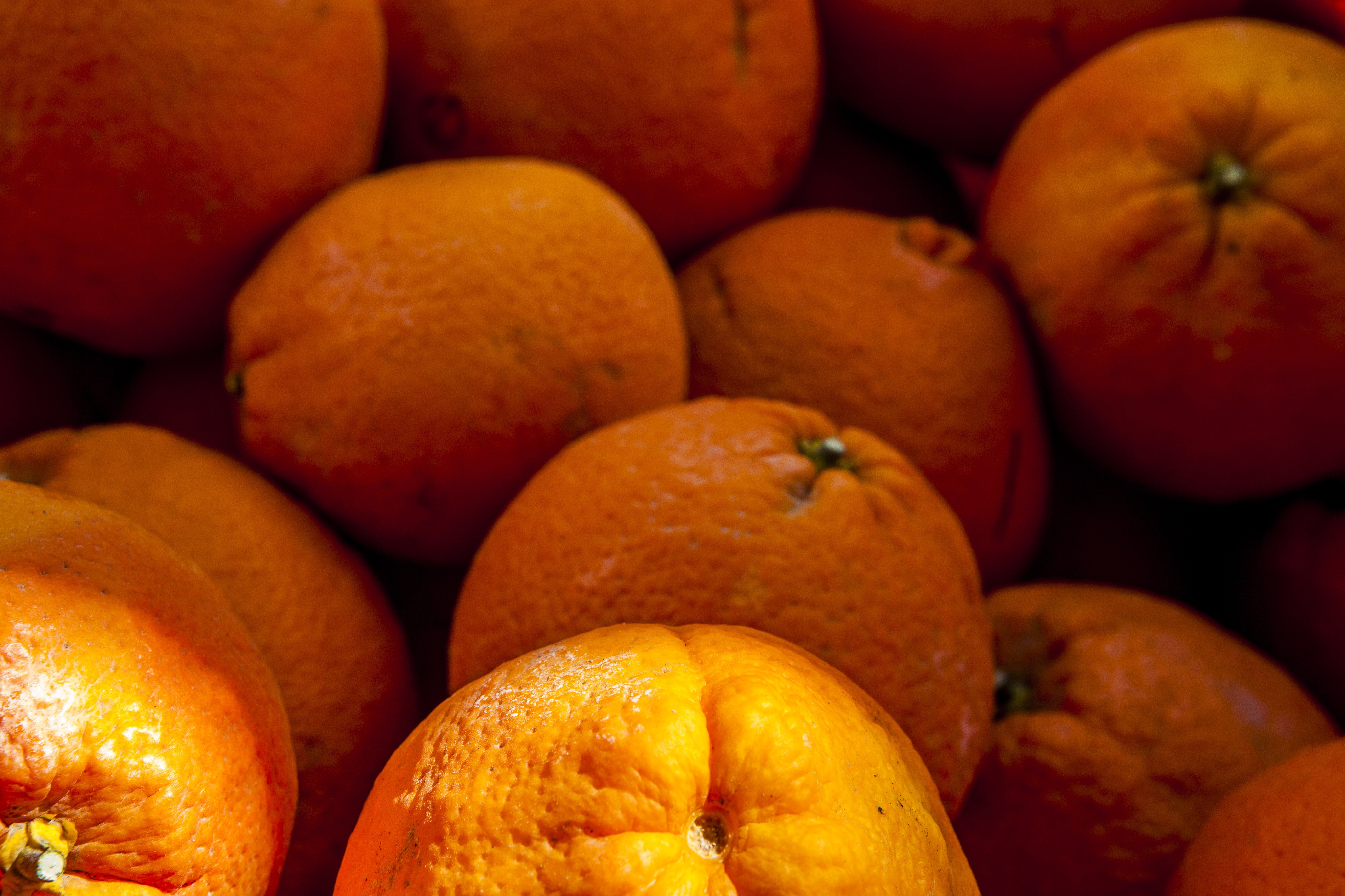 closeup photography of orange fruits