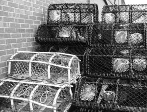 greyscale photo of cages thumbnail