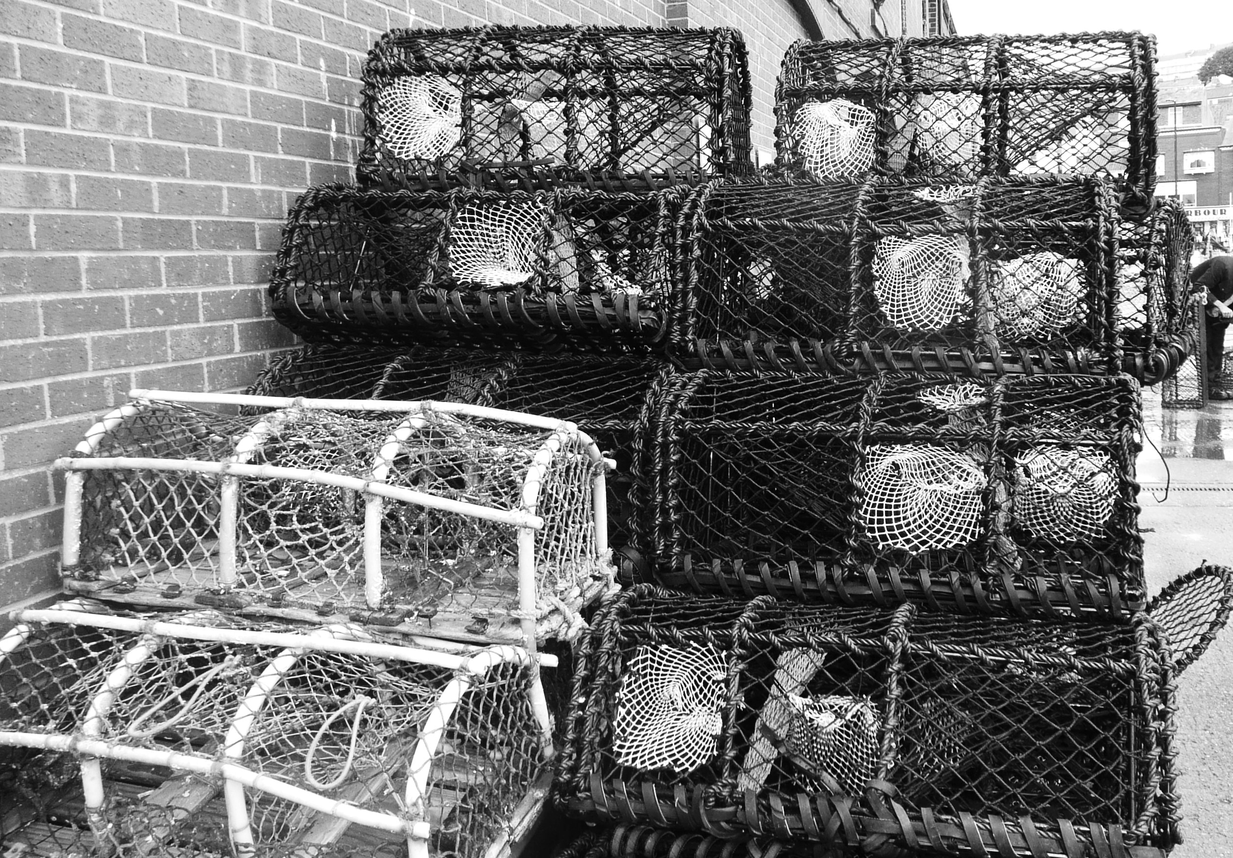 greyscale photo of cages