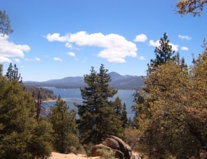 trees near body of water and mountain thumbnail