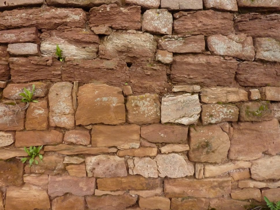 brown bricked wall preview