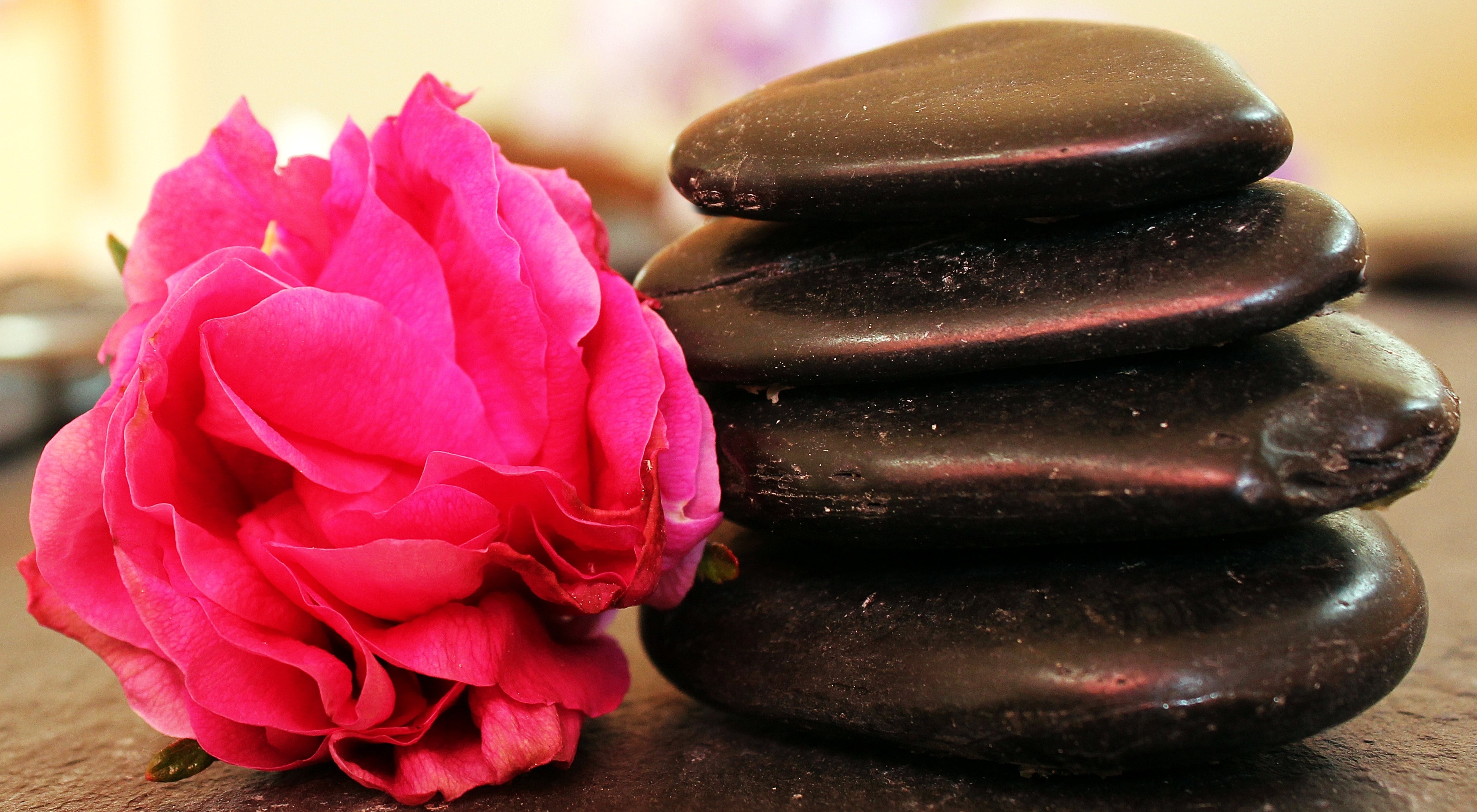 pink rose and 4 black zen stone