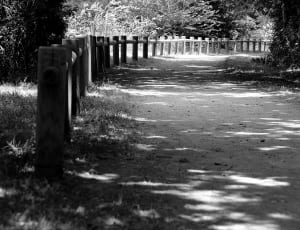 grayscale photo of fence beside trees thumbnail