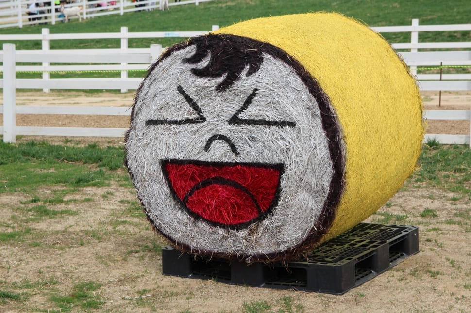 grey yellow and red hay preview