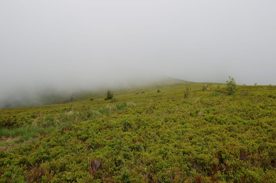 green mountain covered with fog preview