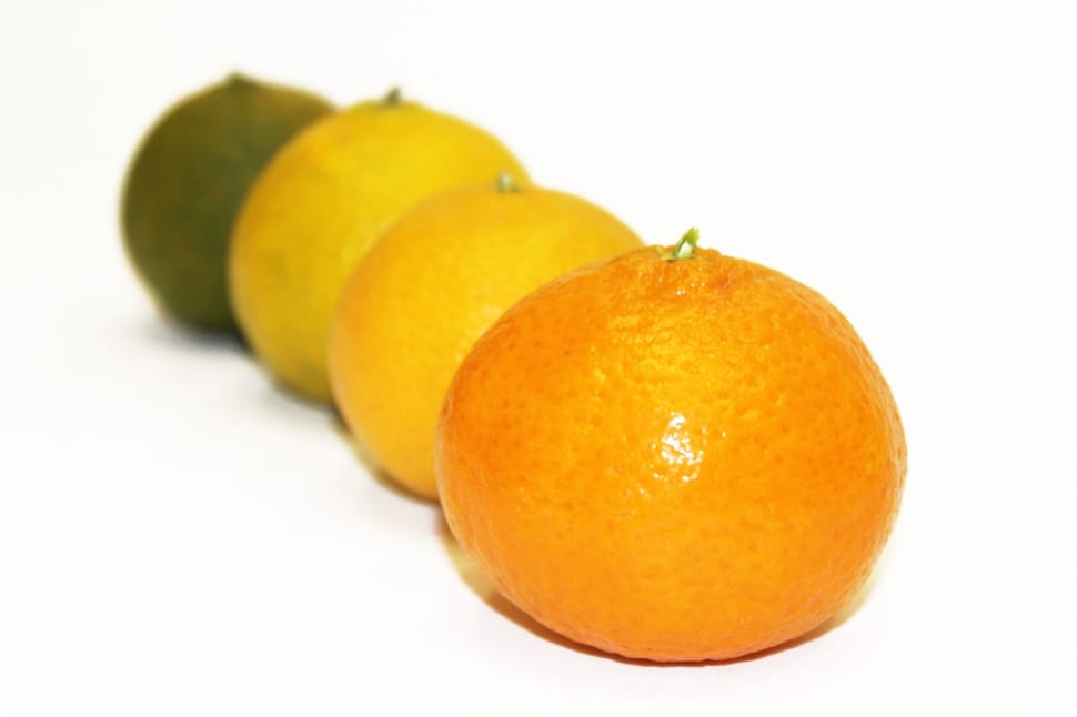 4 citrus fruits preview