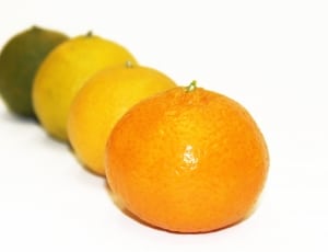 4 citrus fruits thumbnail