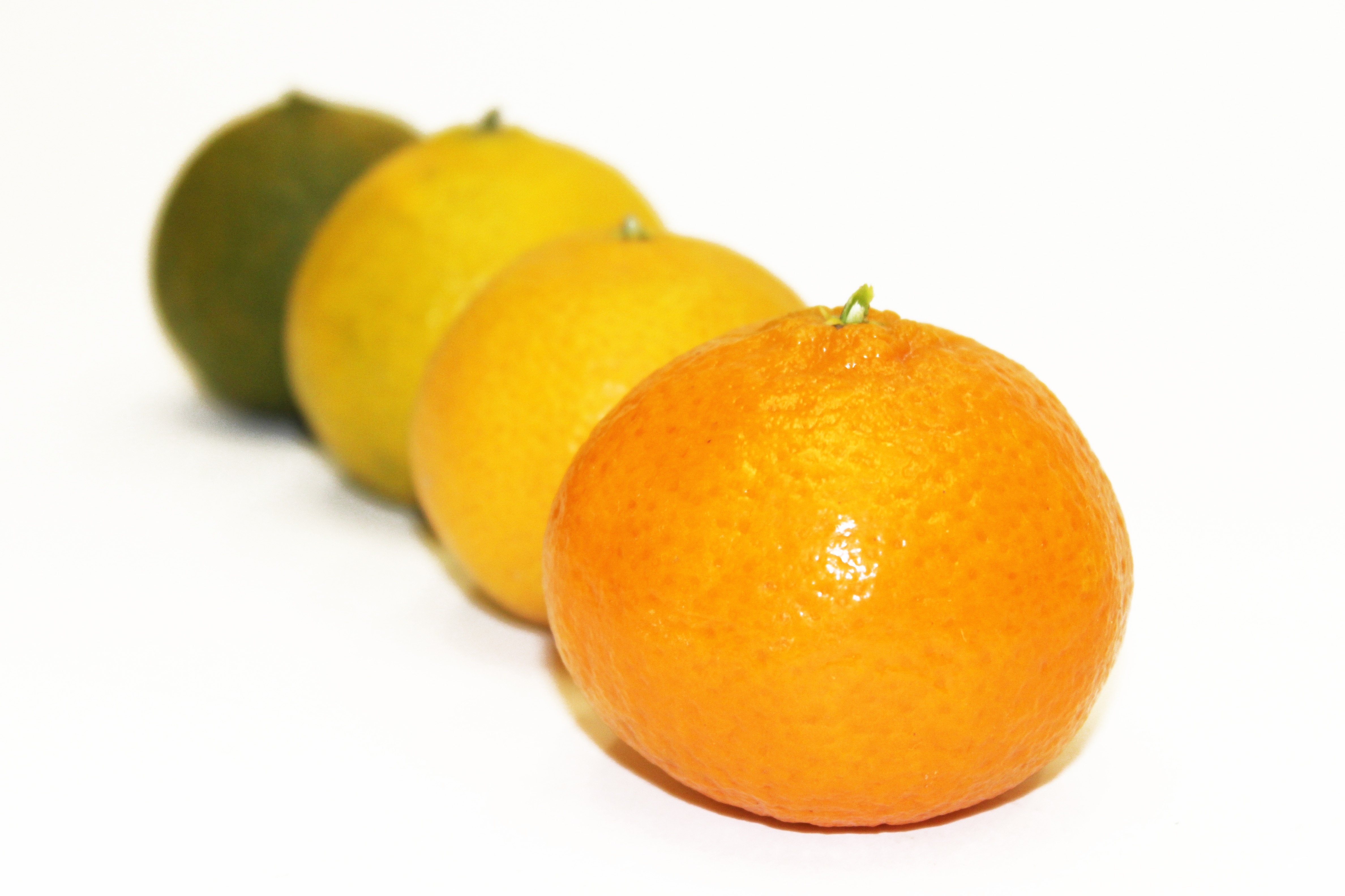 4 citrus fruits