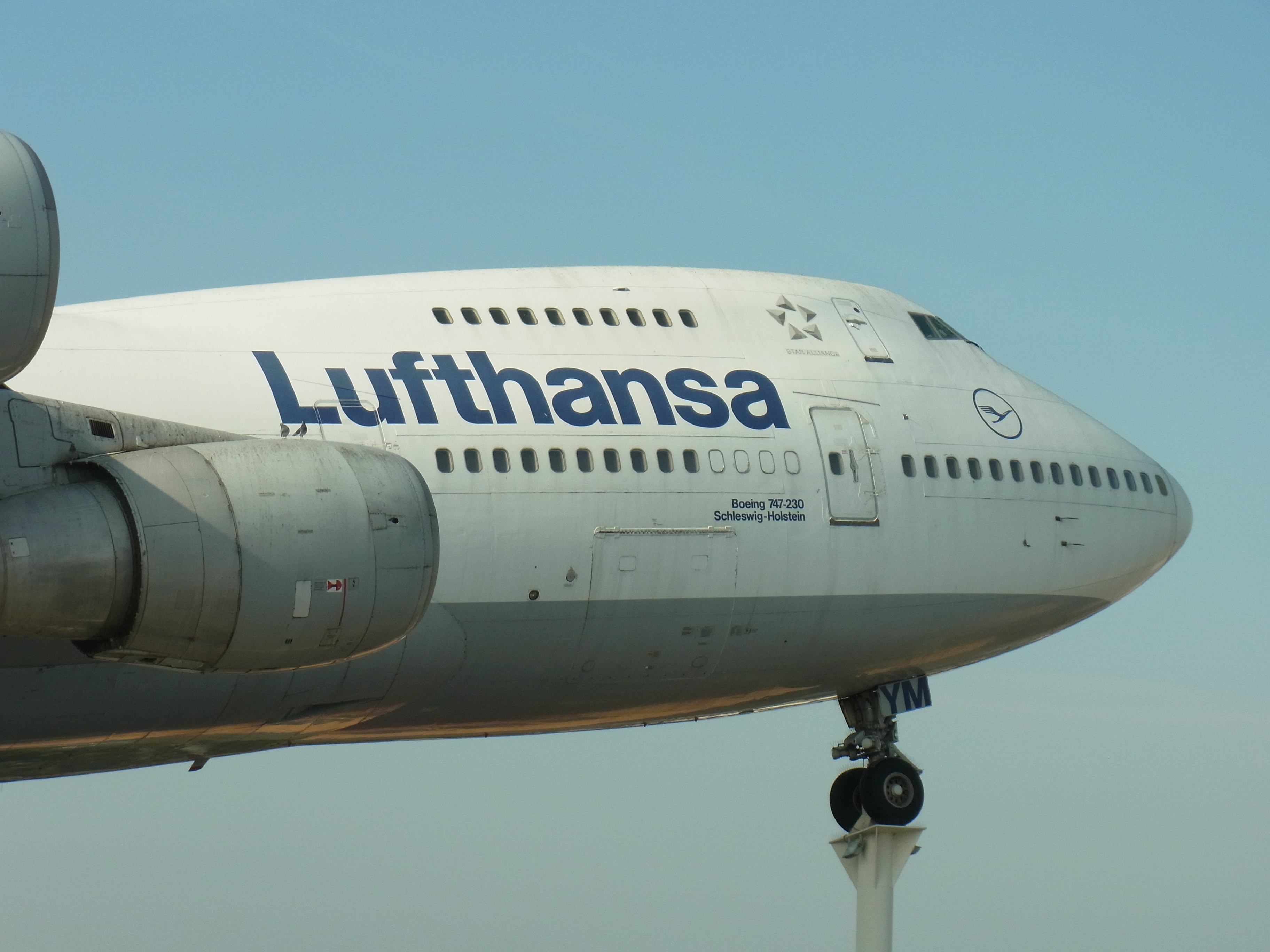white and blue Lufthansa