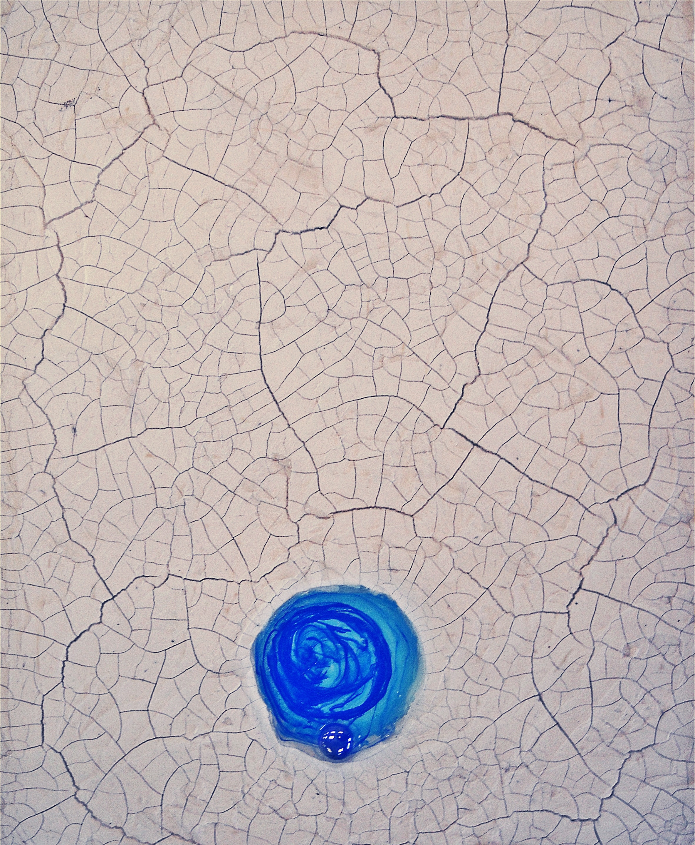 blue flower shape decor