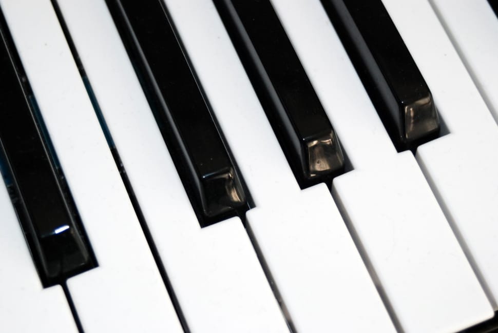 white and black piano keyboard preview