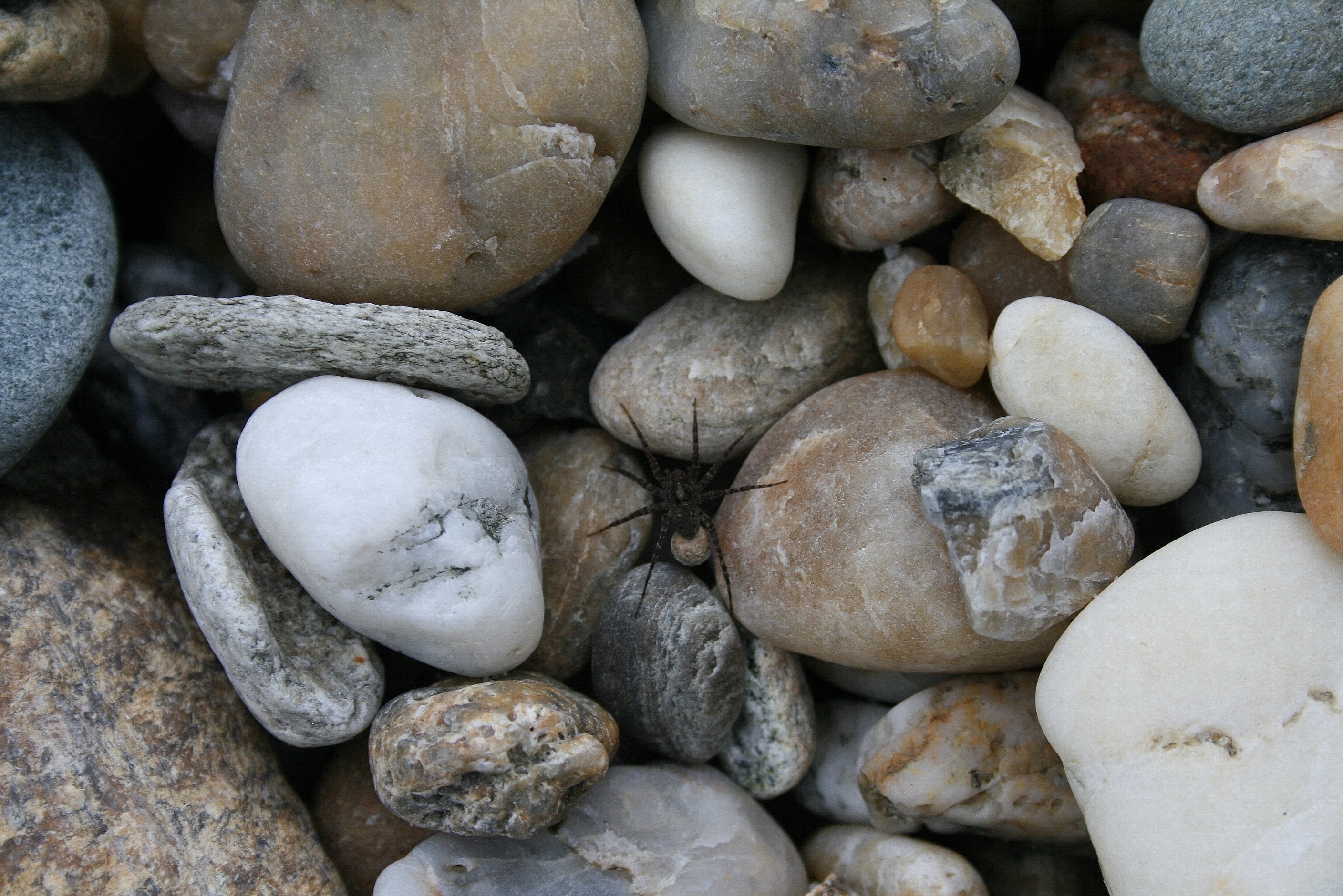 assorted rocks lot