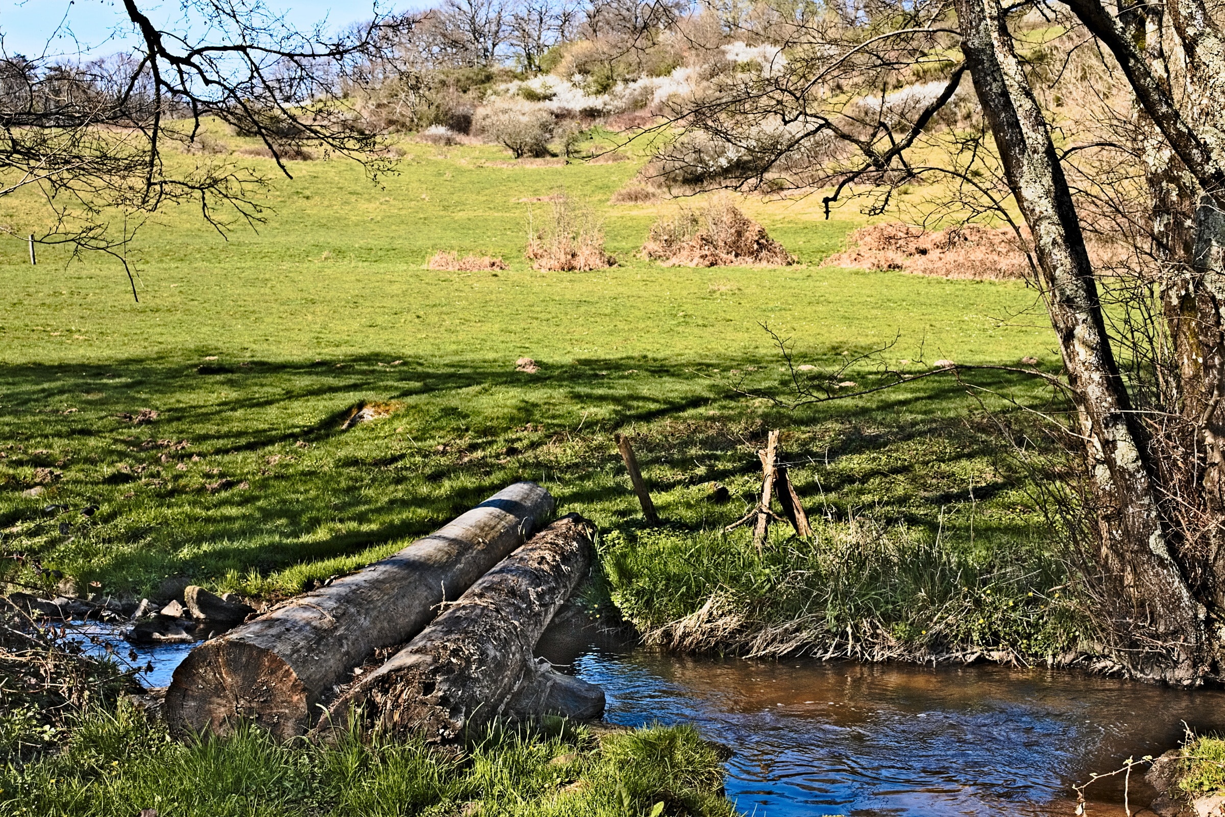 Река проходящая. Парк Морван походы. Tree Trunk gorge, новая Зеландия. Природа Понта. Парк Морван рыбалка.