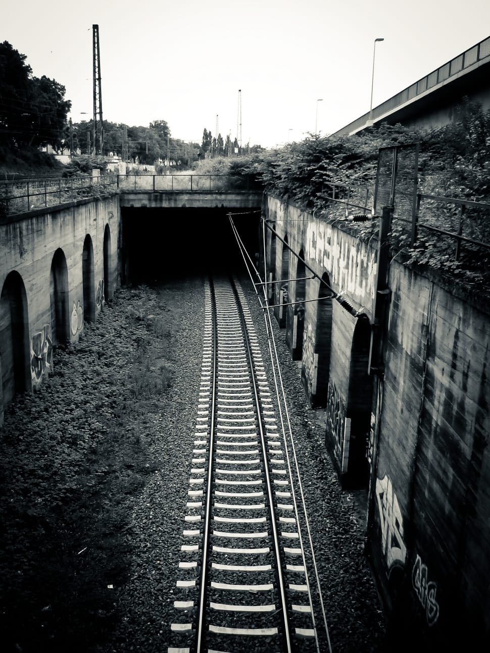grey scale photo of tunnel railroad preview