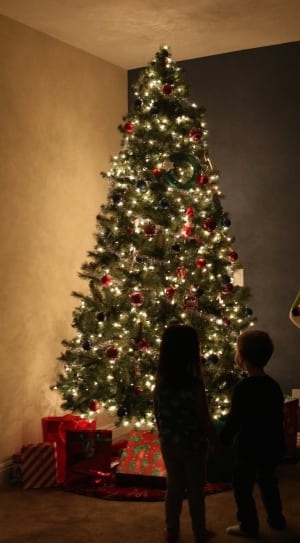 christmas tree with ornaments and gift boxes thumbnail