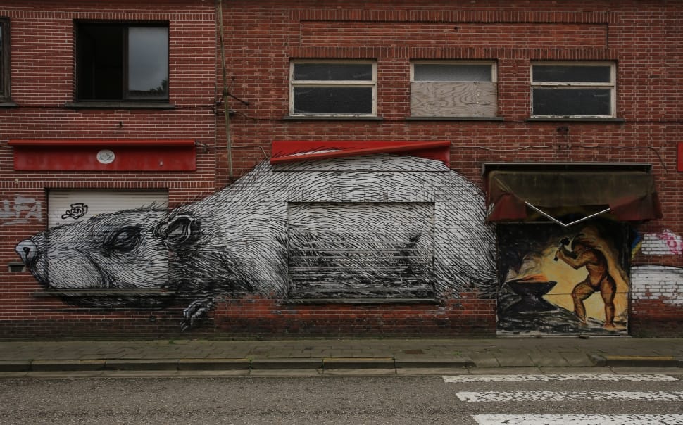 mouse graffiti preview