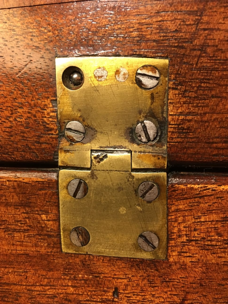 brass door hinge preview