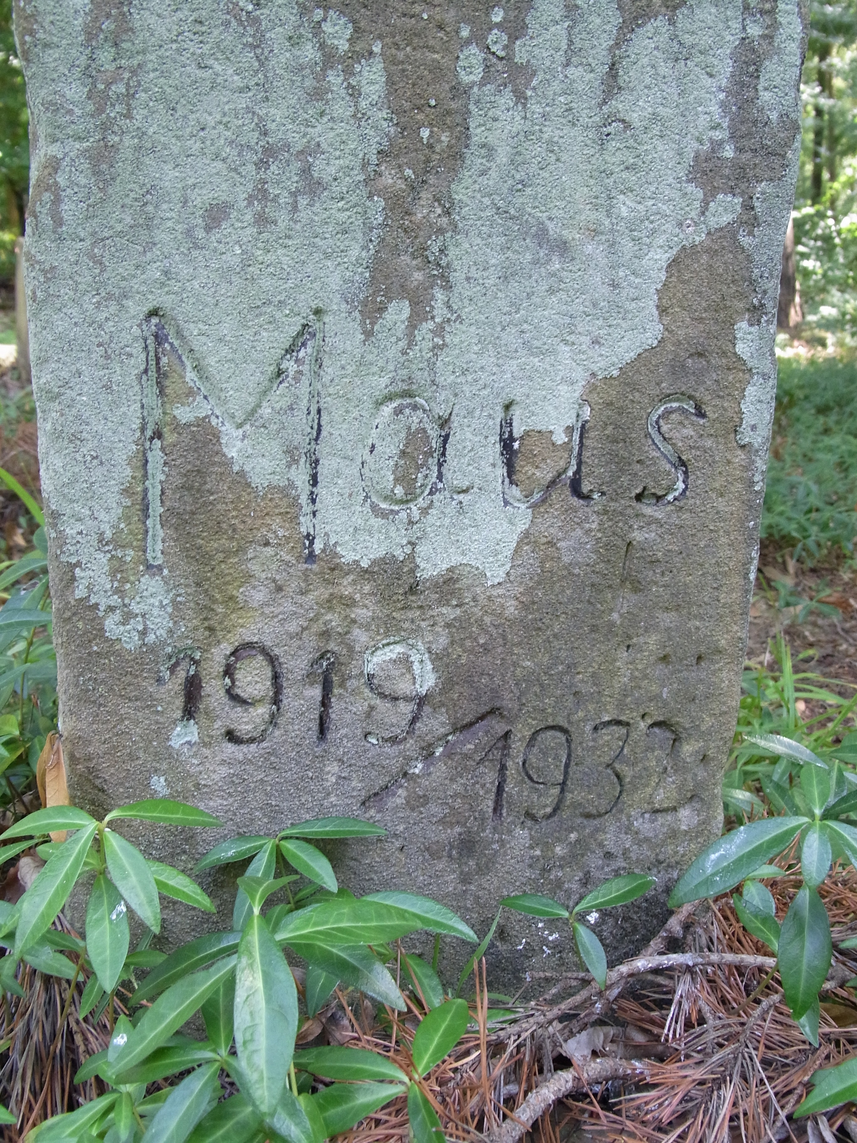 gray maus 1919 epitaph
