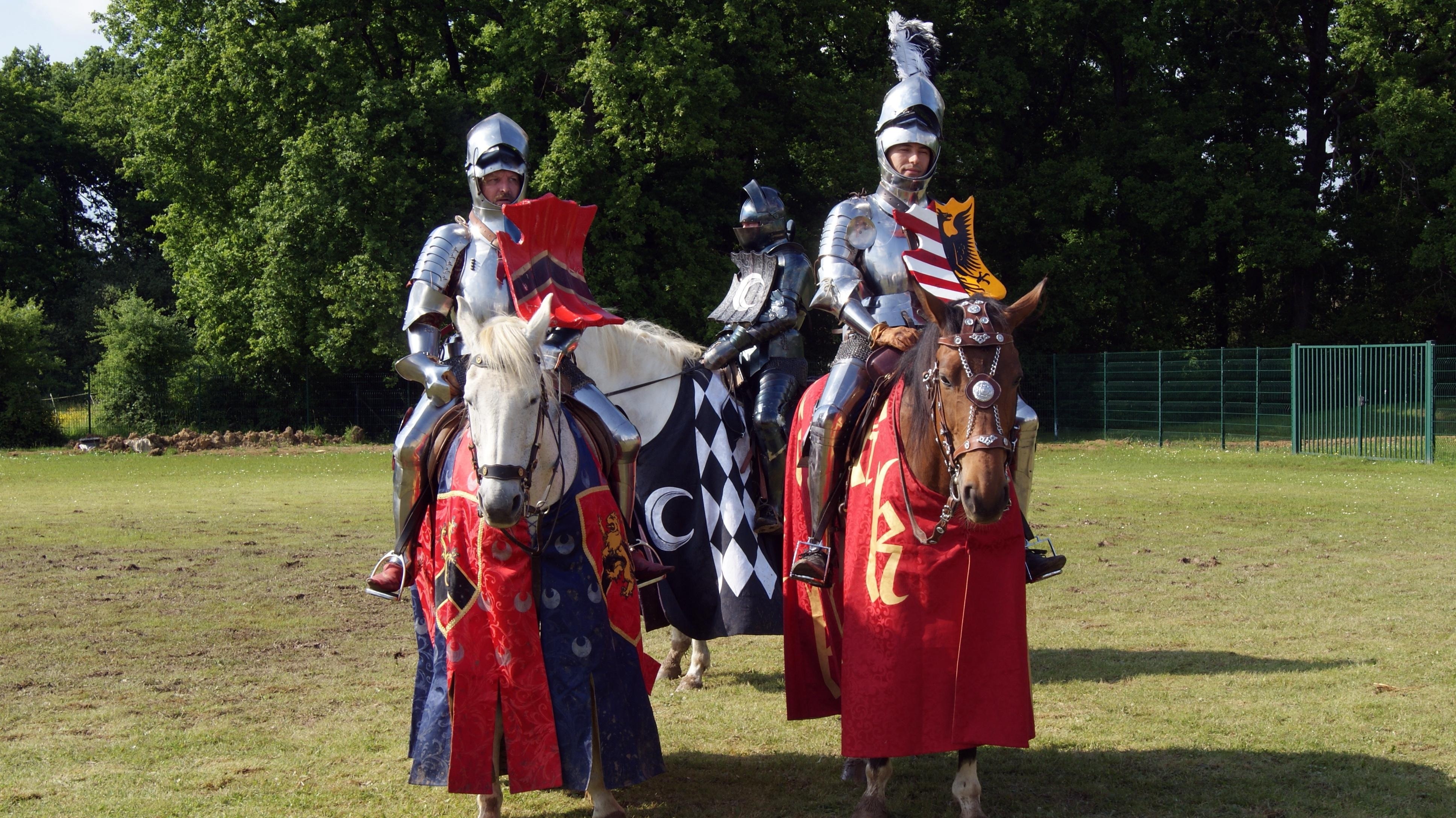 knight costumes