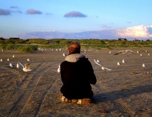 person sitting on the sand near birds during daytime thumbnail