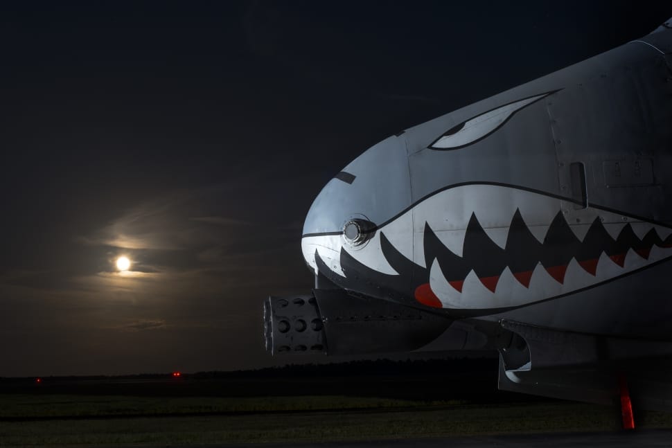 gray and white shark airplane preview