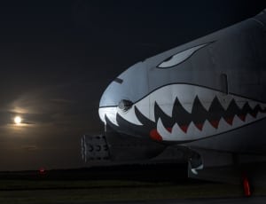 gray and white shark airplane thumbnail