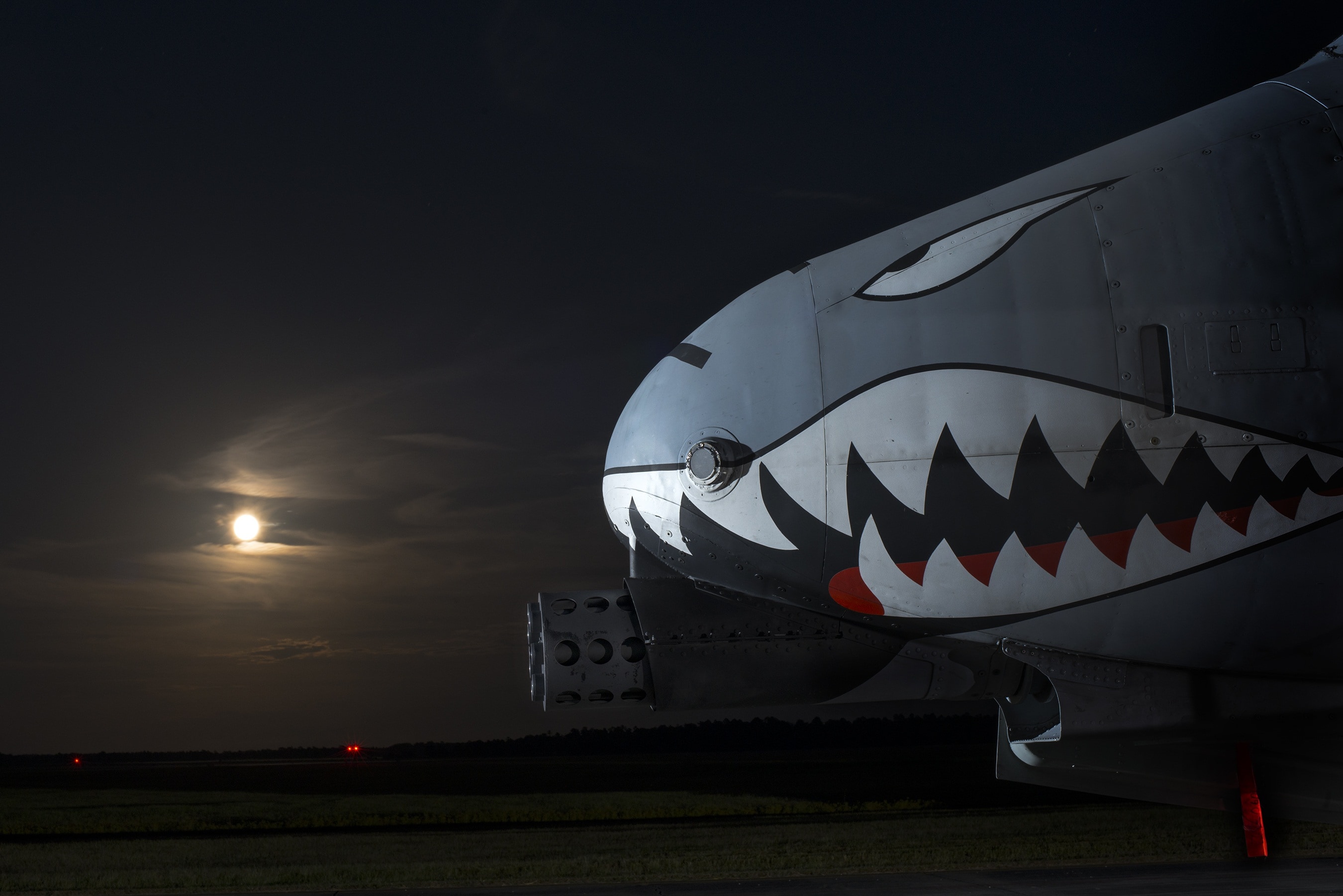 gray and white shark airplane