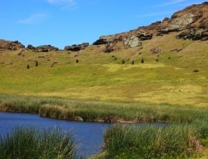 body of water and green grass field thumbnail