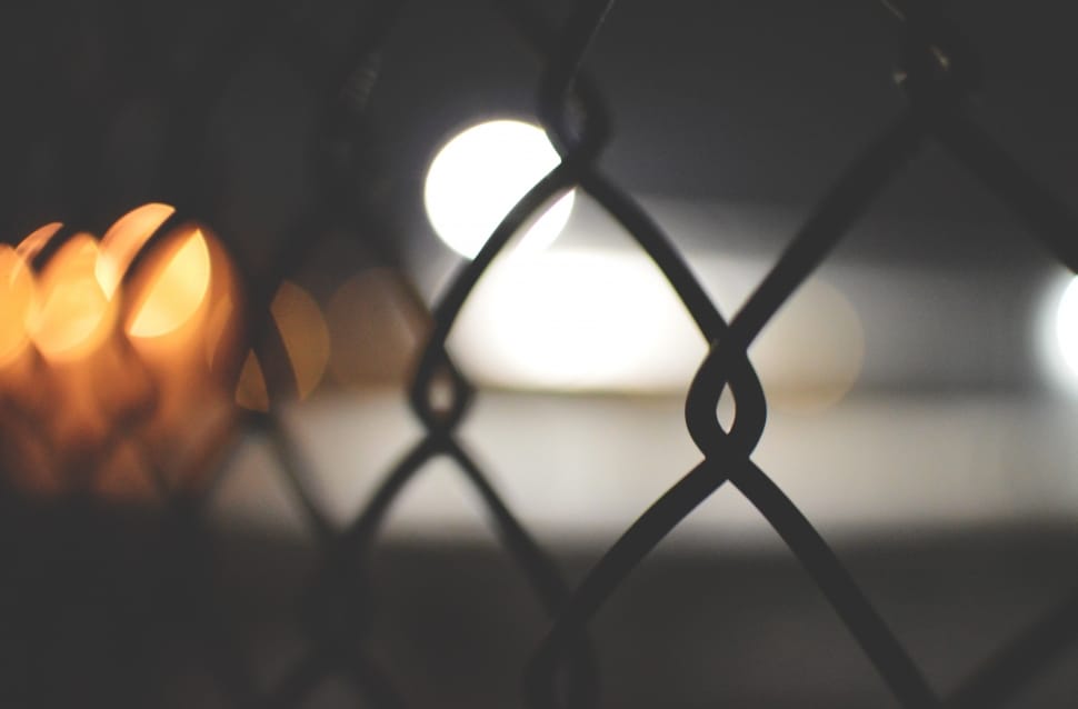close up photo of mesh fence preview