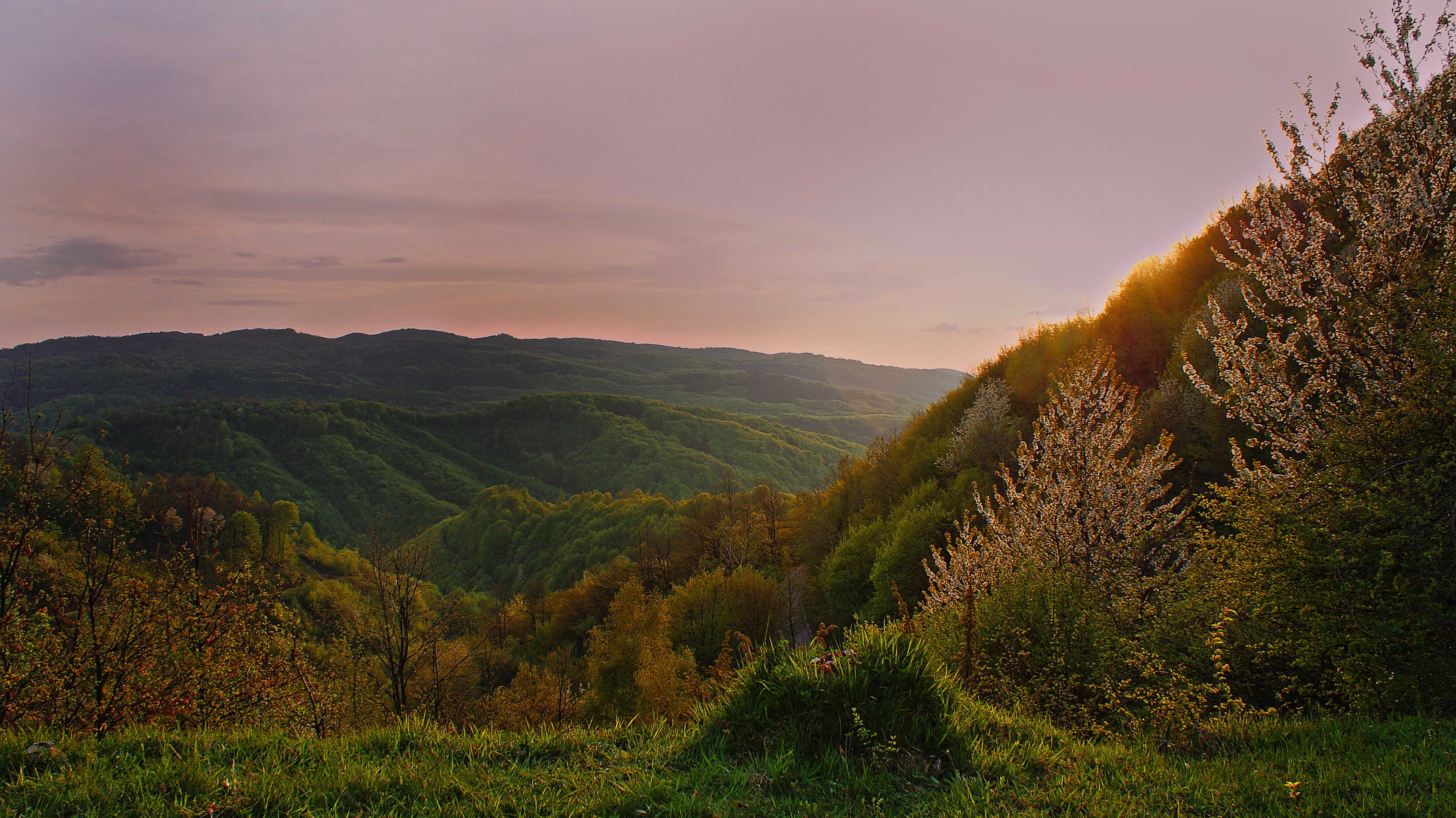 green grass near mountain formation during sunset