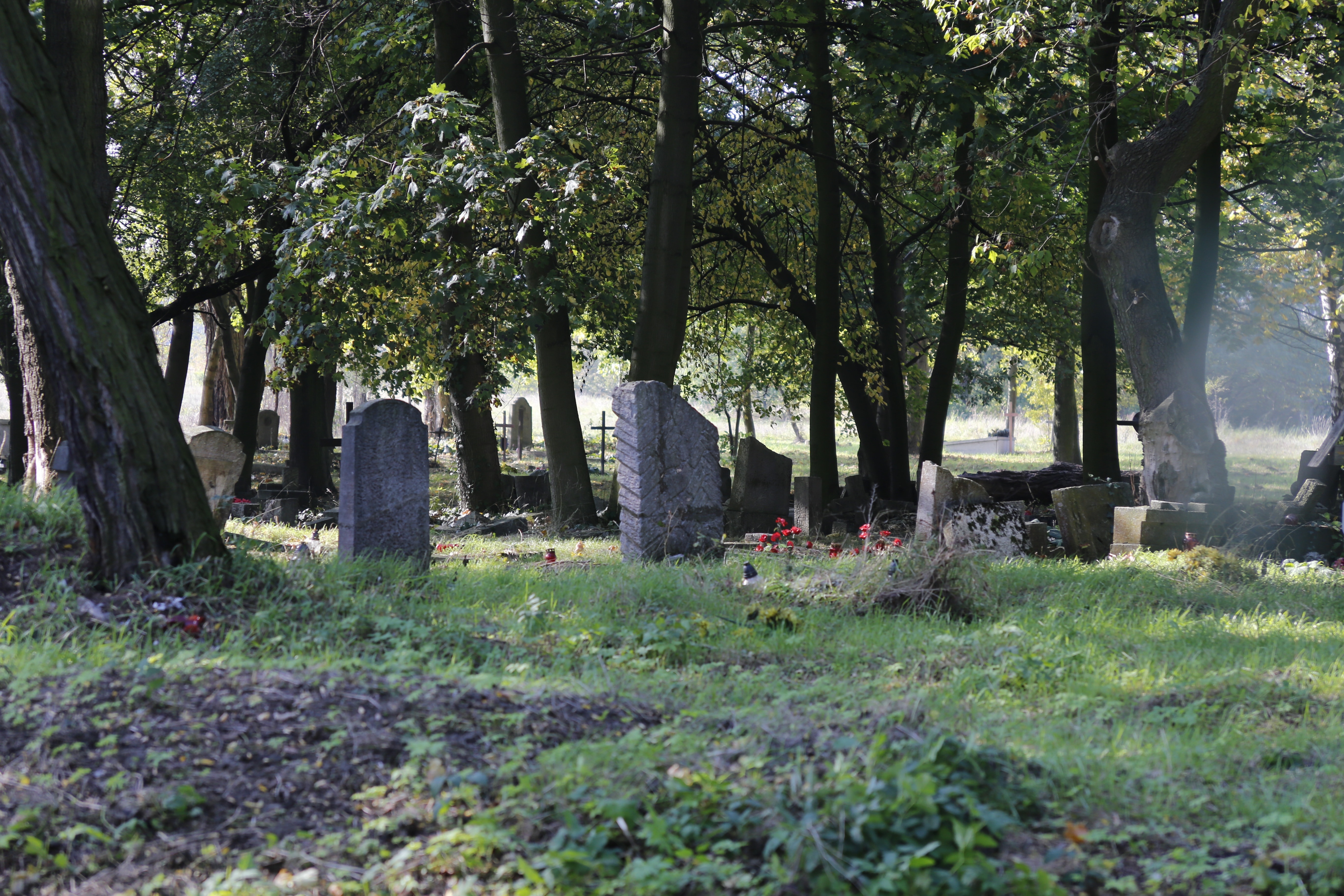 gray tombstones